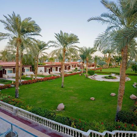 Nuweiba Club Resort Экстерьер фото