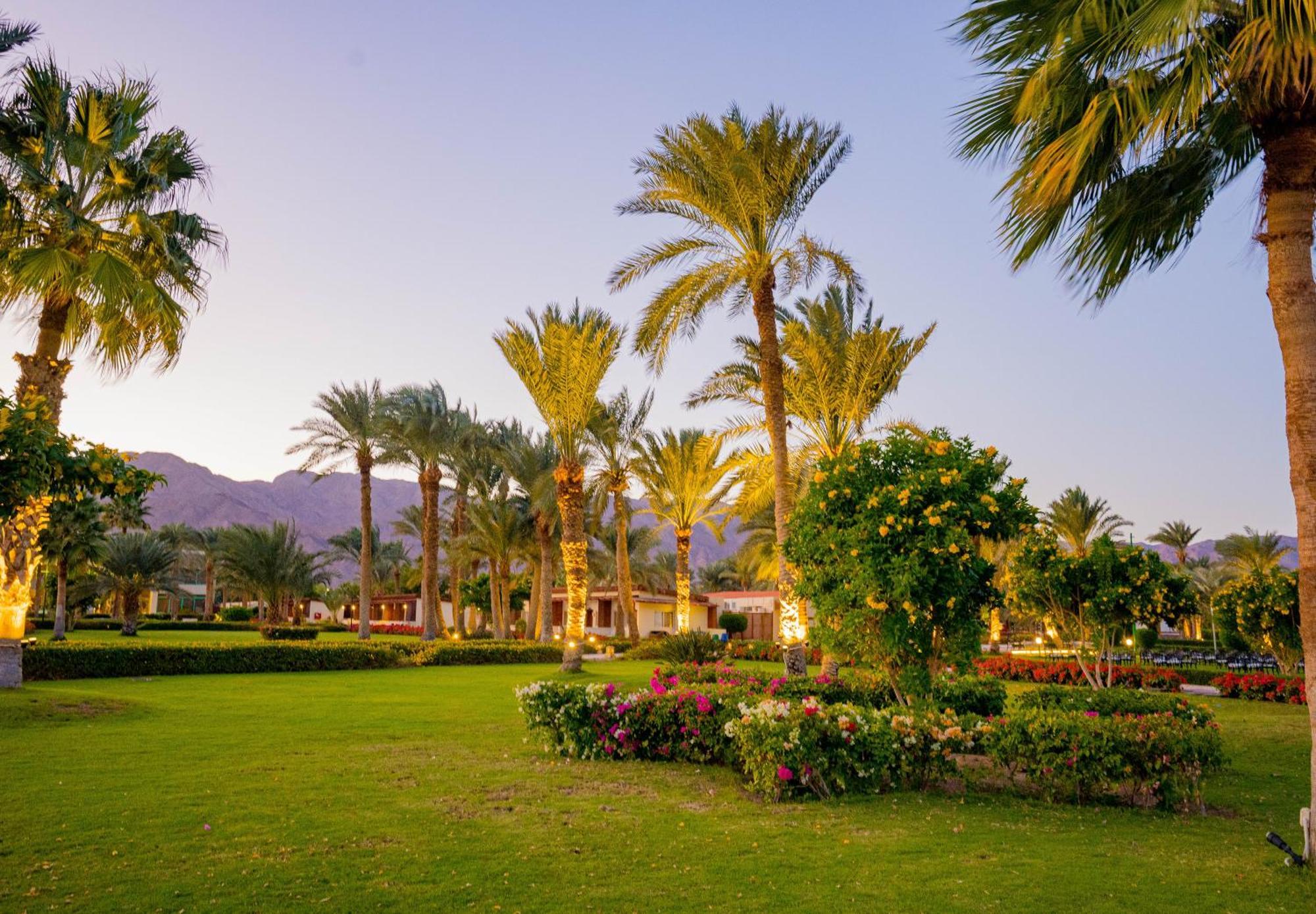 Nuweiba Club Resort Экстерьер фото