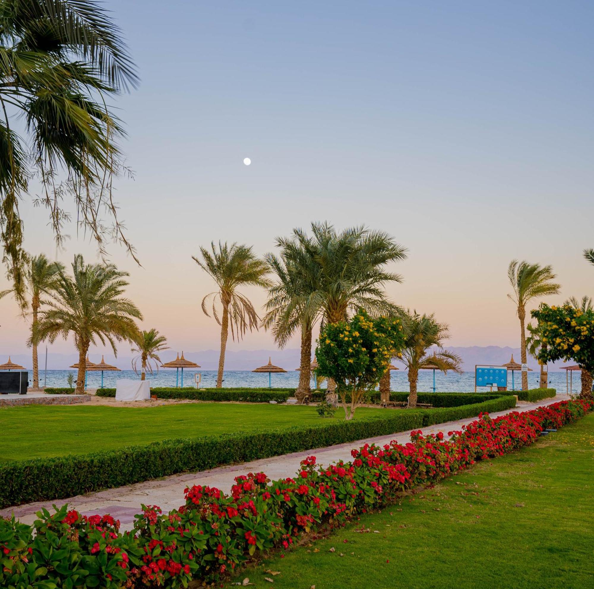 Nuweiba Club Resort Экстерьер фото